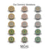 Glamorous Diamond Bitcoin Ring - Dominic No. 8